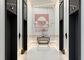 FUJI Passenger Elevator Lift with 6 Person for China Passenger Lifts Factory