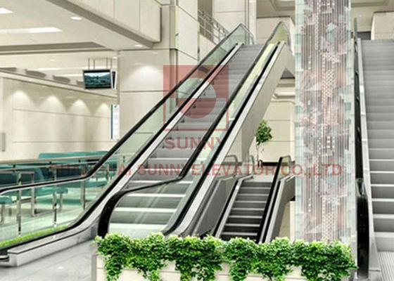 elevador de rosca de la escalera móvil del centro comercial de la cascada los 0.5m del subterráneo 2 de 1000m m