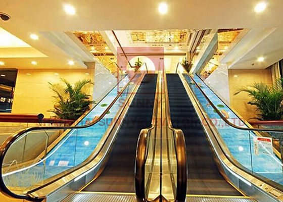 elevador de rosca de la escalera móvil del centro comercial de la cascada los 0.5m del subterráneo 2 de 1000m m