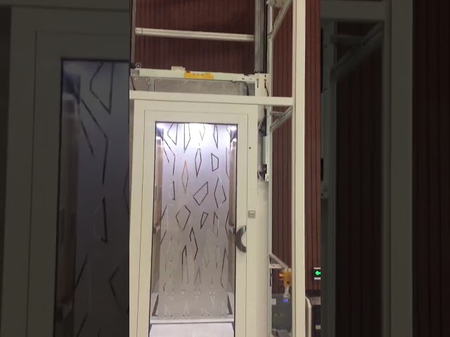 Uso para el hogar Tres pisos Elevador hidráulico para discapacitados Casa residencial Elevador eléctrico para el hogar pequeño Elevadores elevadores