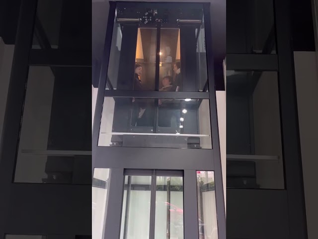 Elevador casero interior de lujo del motor Gearless SUS304 con las certificaciones del CE