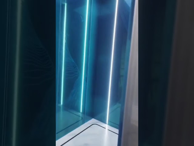 Elevador de la calidad de Alemania con la tracción sin engranaje para el elevador del pasajero