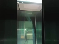 Ascensores para pasajeros, villas personales, 3 plantas, ascensor exterior, interior